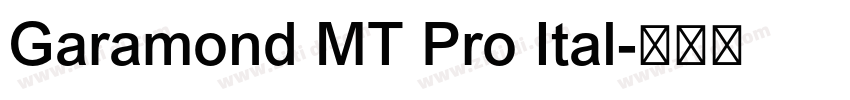 Garamond MT Pro Ital字体转换